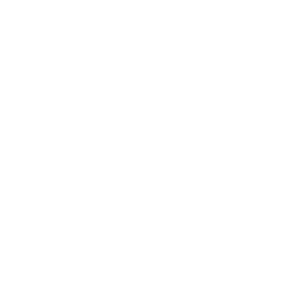 Google Partner